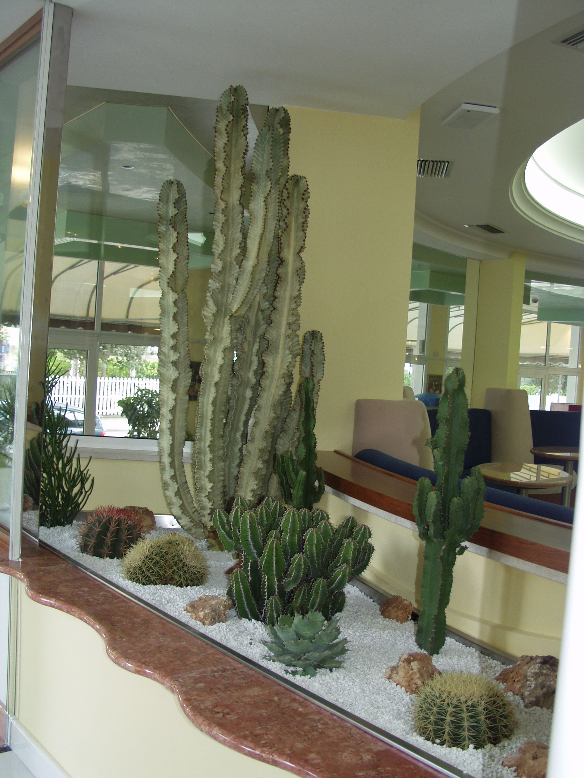 Photo - Hotel Coppe Jesolo