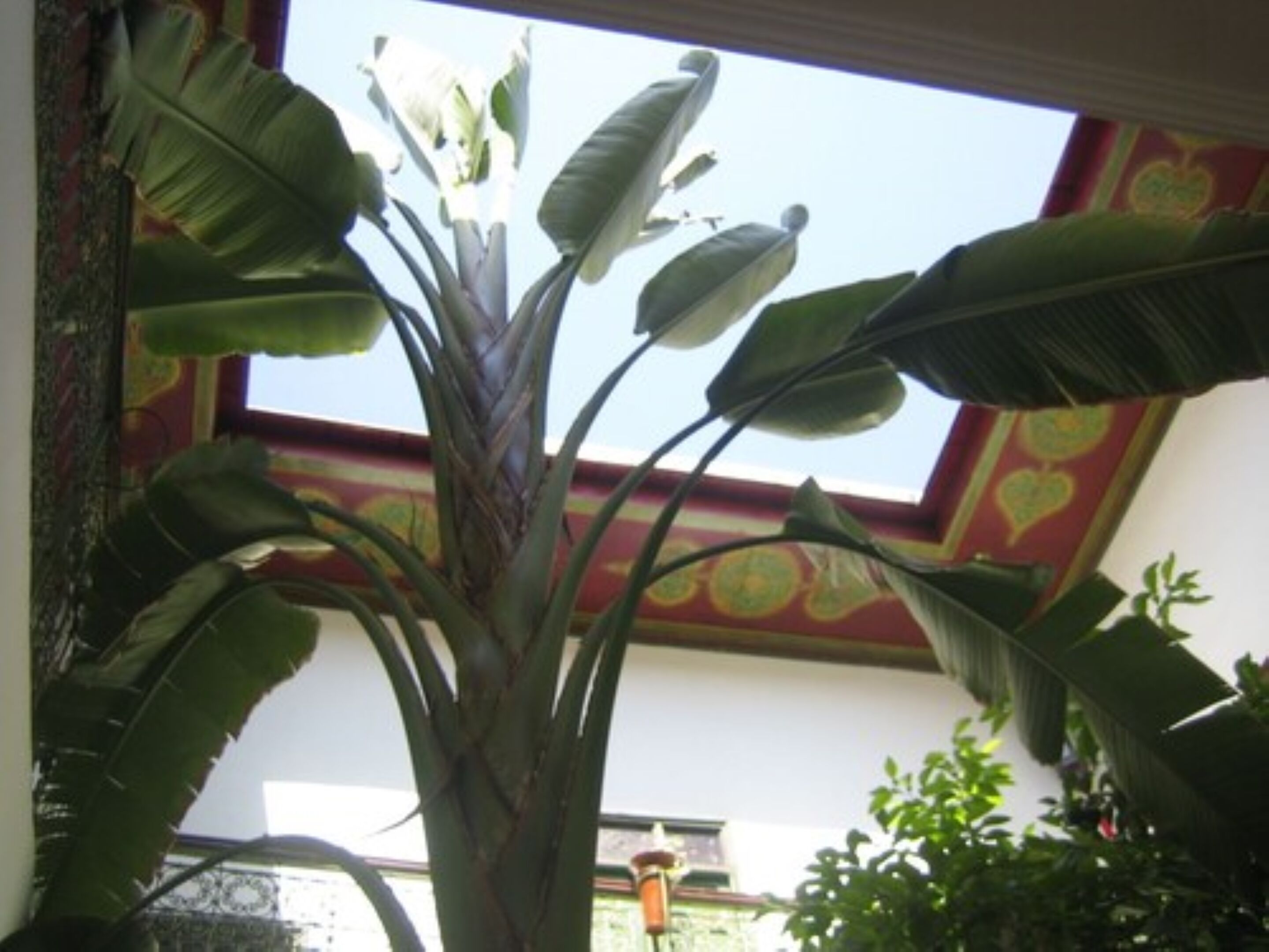 Foto - Riad Al Karama