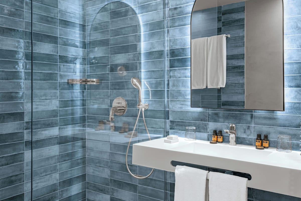 shower, free toiletries, hair dryer, bidet