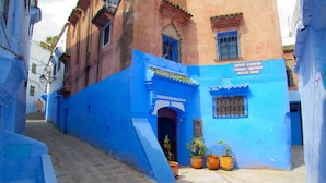 Una calle estrecha con edificios pintados de azul y rosa, una entrada visible a un edificio y plantas en macetas en el suelo.