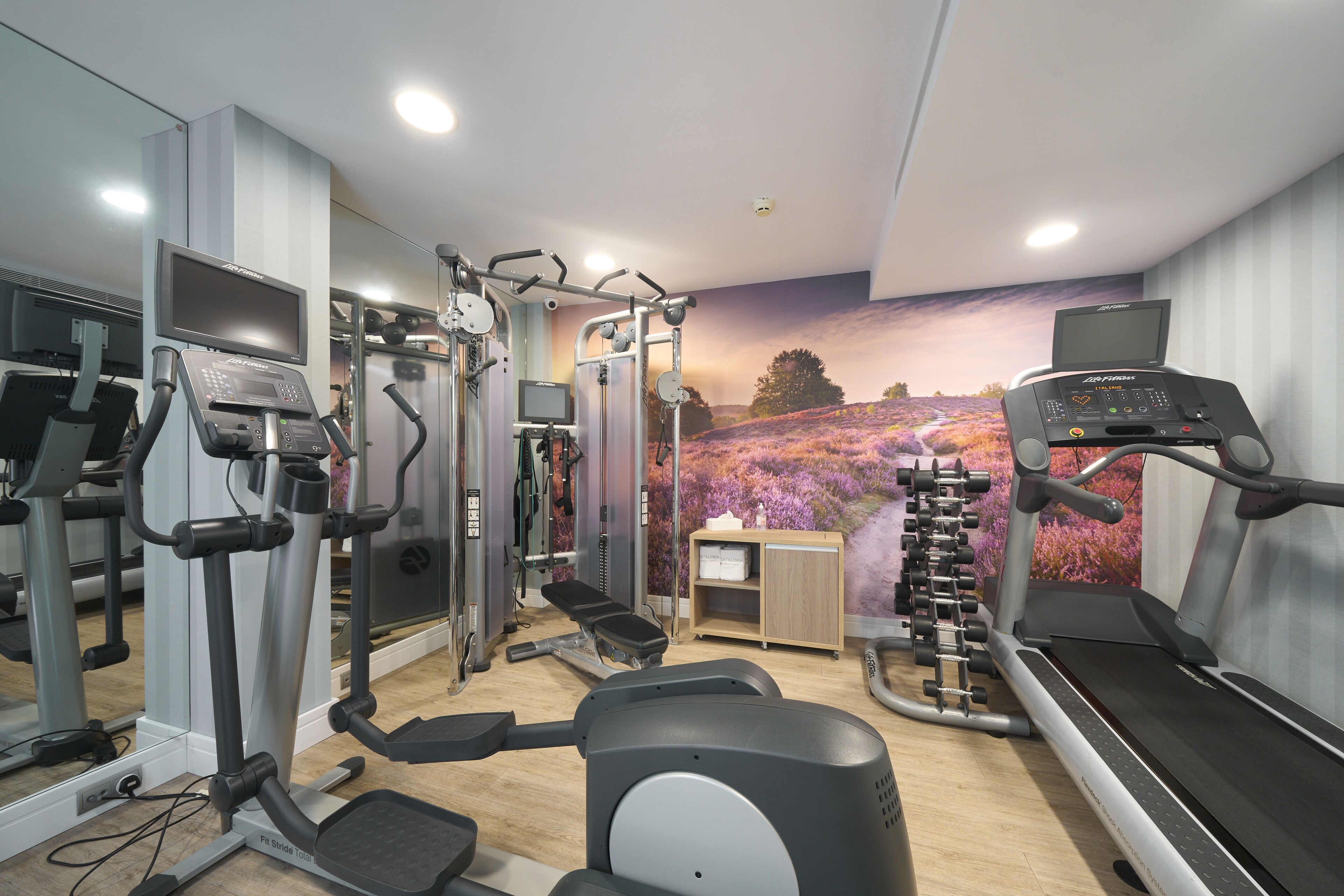 A gym with cardio machines, weight training equipment, and a mural of a field.