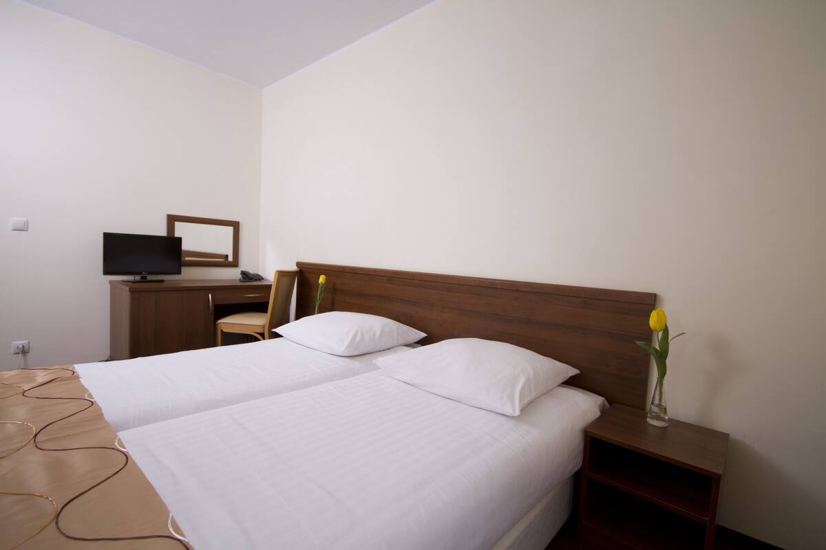 Habitación de hotel con dos camas, un escritorio con televisor, una silla, una mesita de noche y un florero con una flor.