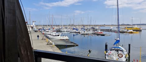A marina with multiple boats docked, a clear sky, and a person walking on the dock.