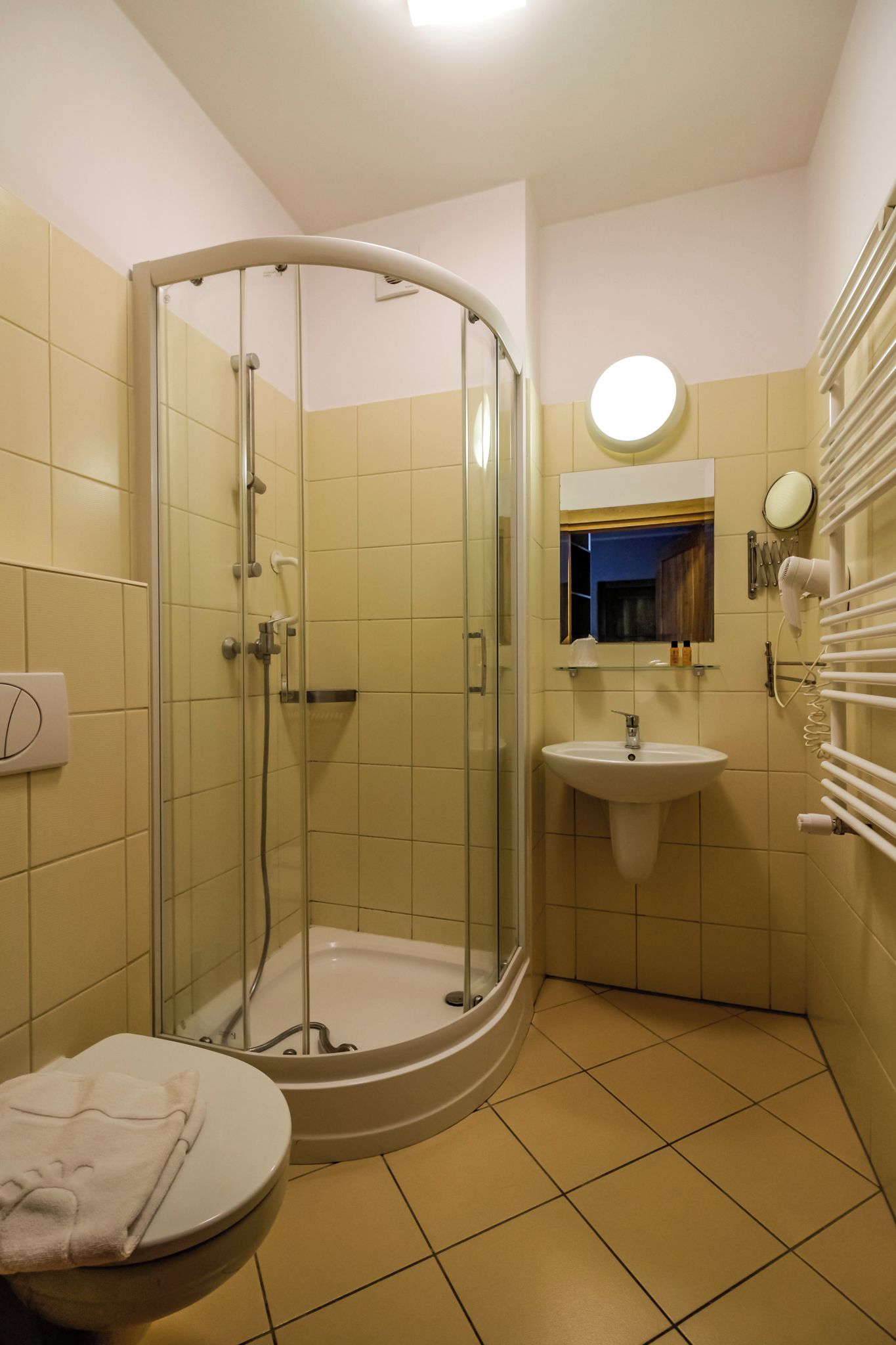 A bathroom with a glass-enclosed shower, a sink, a toilet, and a mirror.