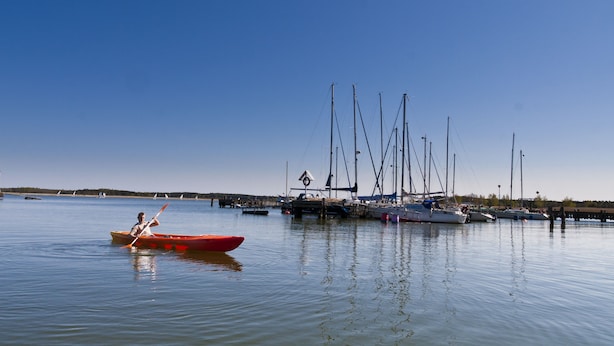 Un port tranquil amb un vaixell de rems i diversos velers amarrats.