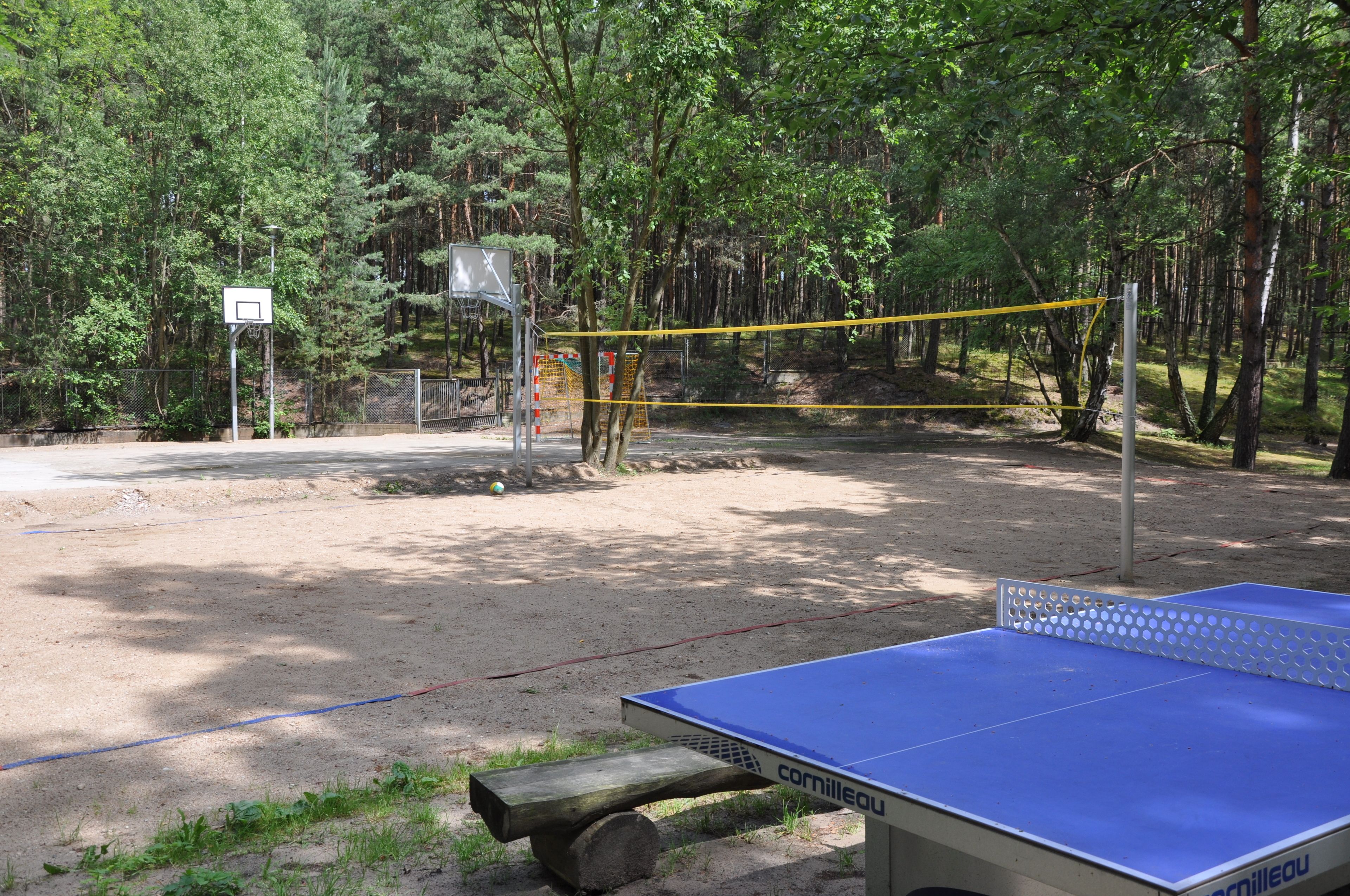 Una mesa de tenis de mesa en un área boscosa, con un aro y red de baloncesto al fondo.