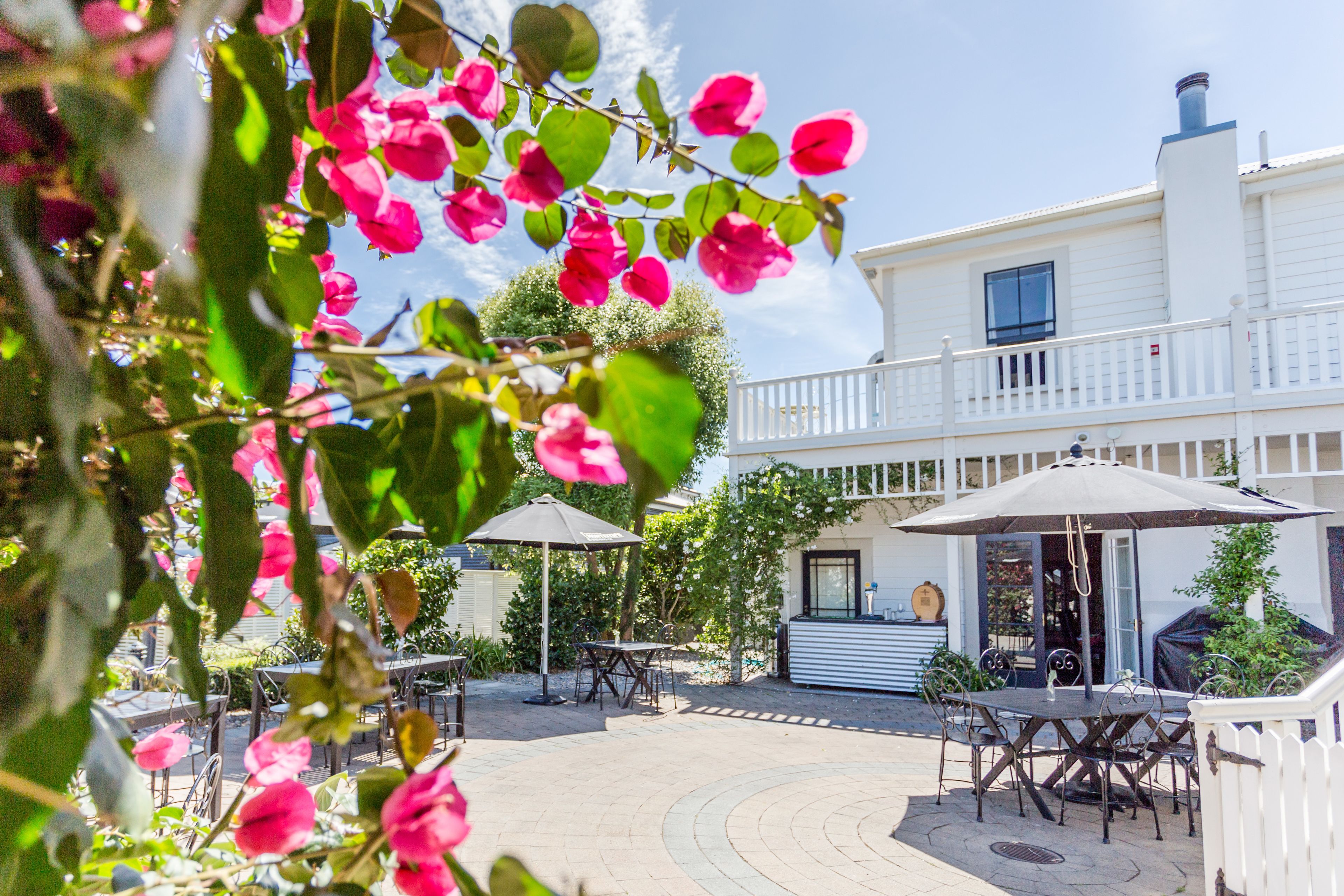 Kamar Standar | Pemandangan dari kamar