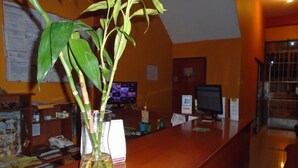 A reception desk with a bamboo plant in a vase, a computer monitor, and a television in the background. - Royal Inca Hotel (Lima)