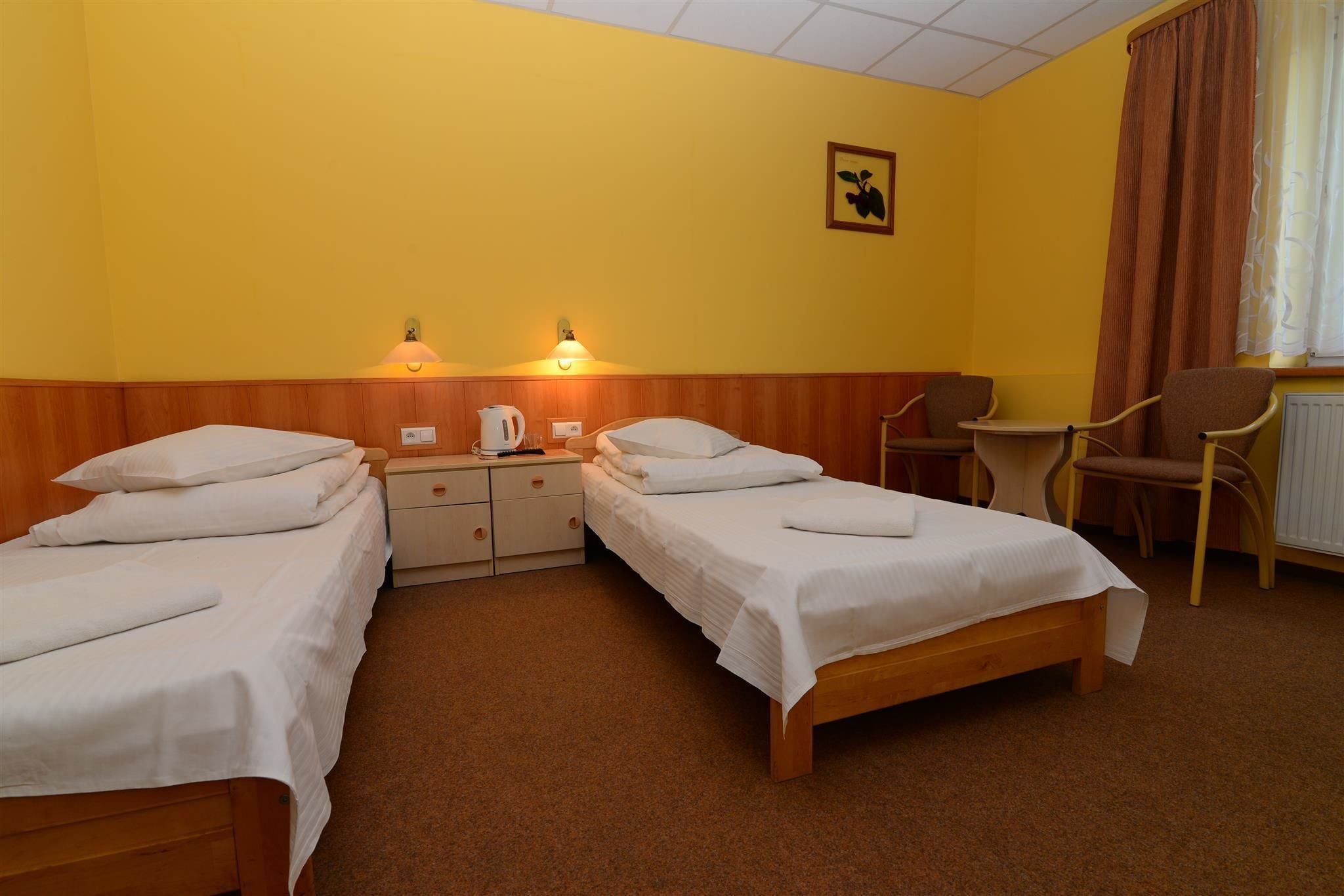 superior twin room | desk, iron/ironing board, free wifi, bed sheets