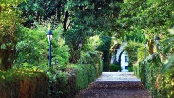 Áreas de la propiedad