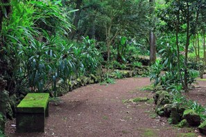 Property grounds - Hotel Solar Do Conde (Capelas)