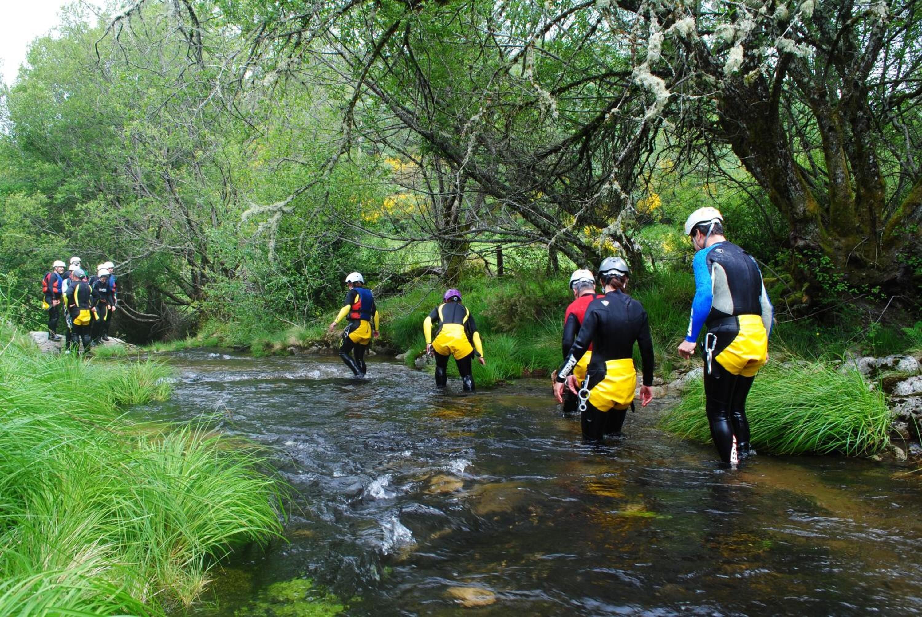 A group of people in yellow and black gear wading through a shallow stream in a forested area.