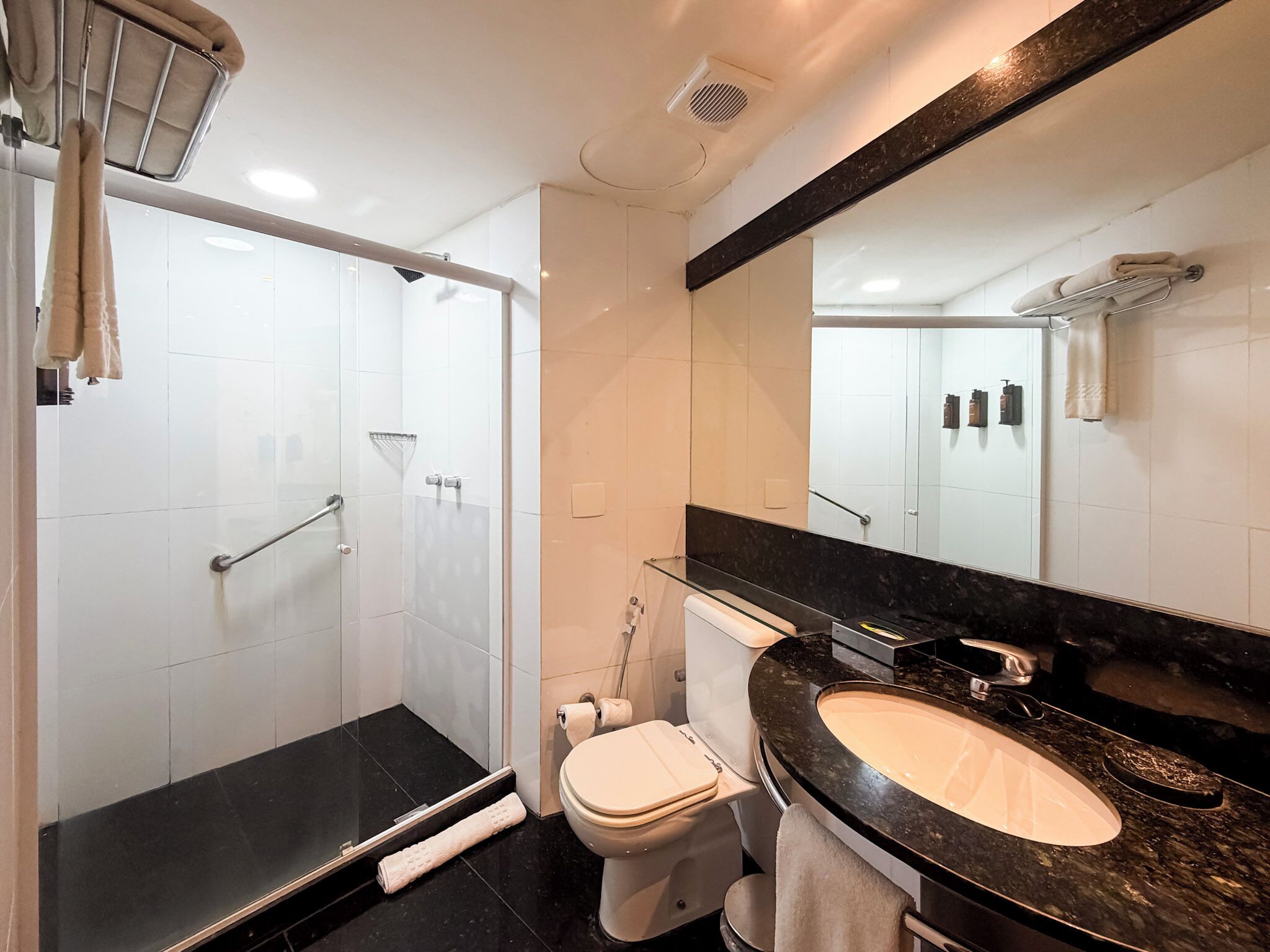 A modern bathroom with a glass shower enclosure, a toilet, and a sink with a black countertop.