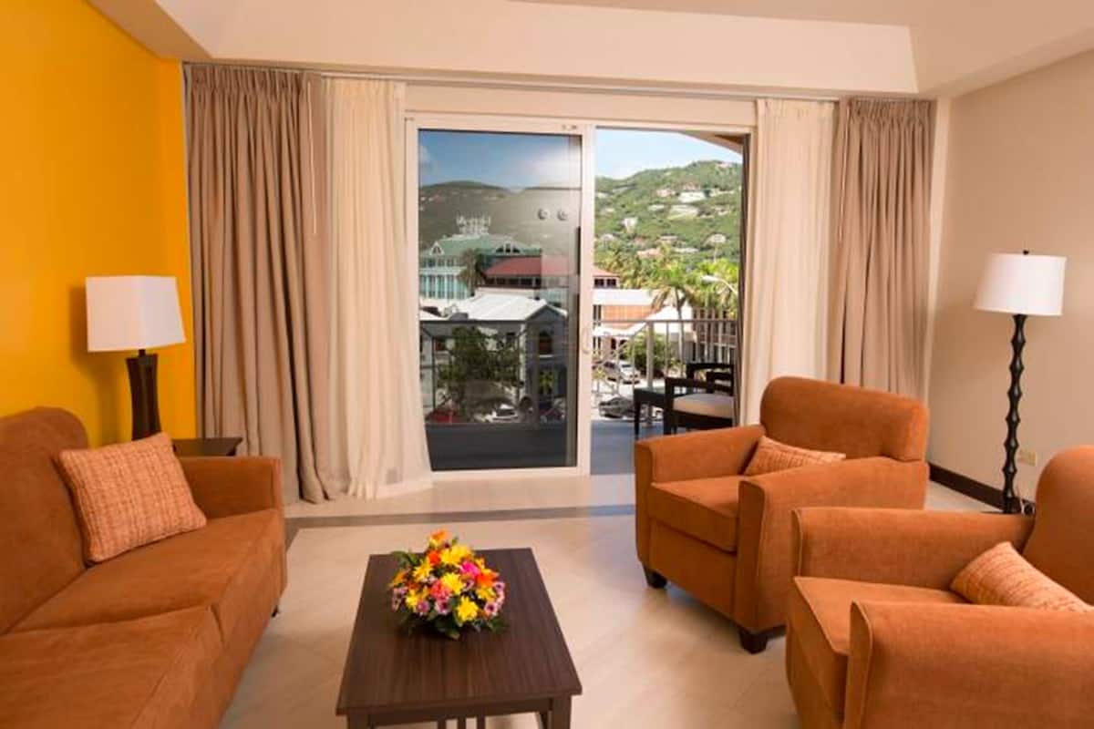 premium suite | view from room