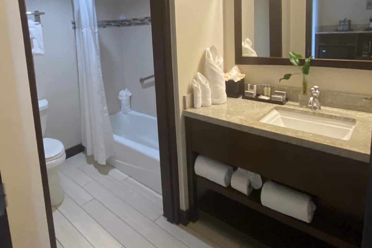 combined shower/bathtub, deep-soaking bathtub, free toiletries