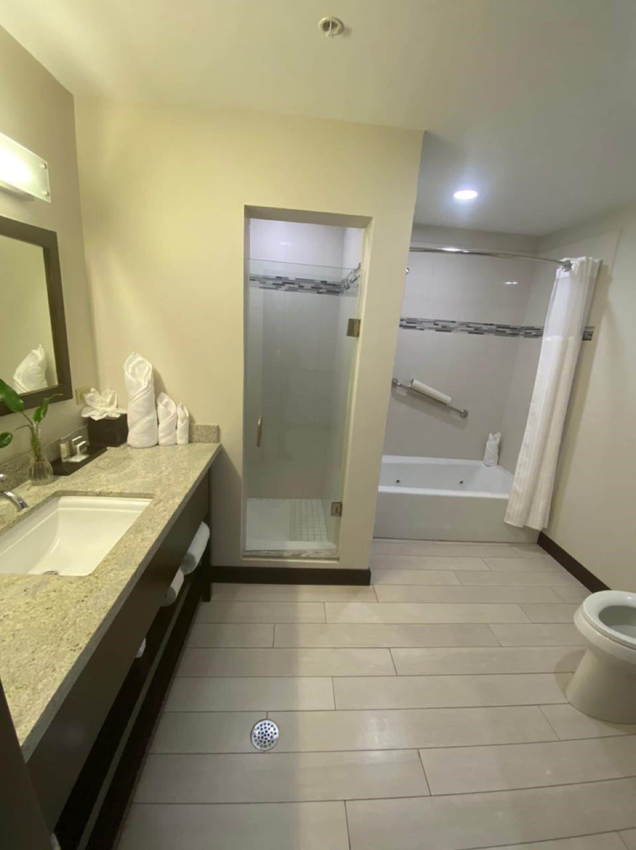 premium suite | bathroom | combined shower/bathtub, deep-soaking bathtub, free toiletries