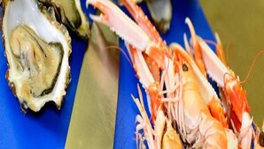 A lobster and an oyster on a blue surface.