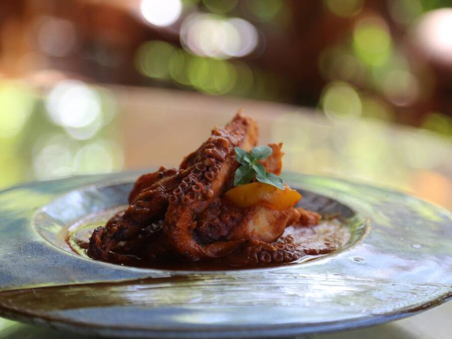 Un plato de pulpo sobre una fuente de cristal transparente con un fondo natural desenfocado.