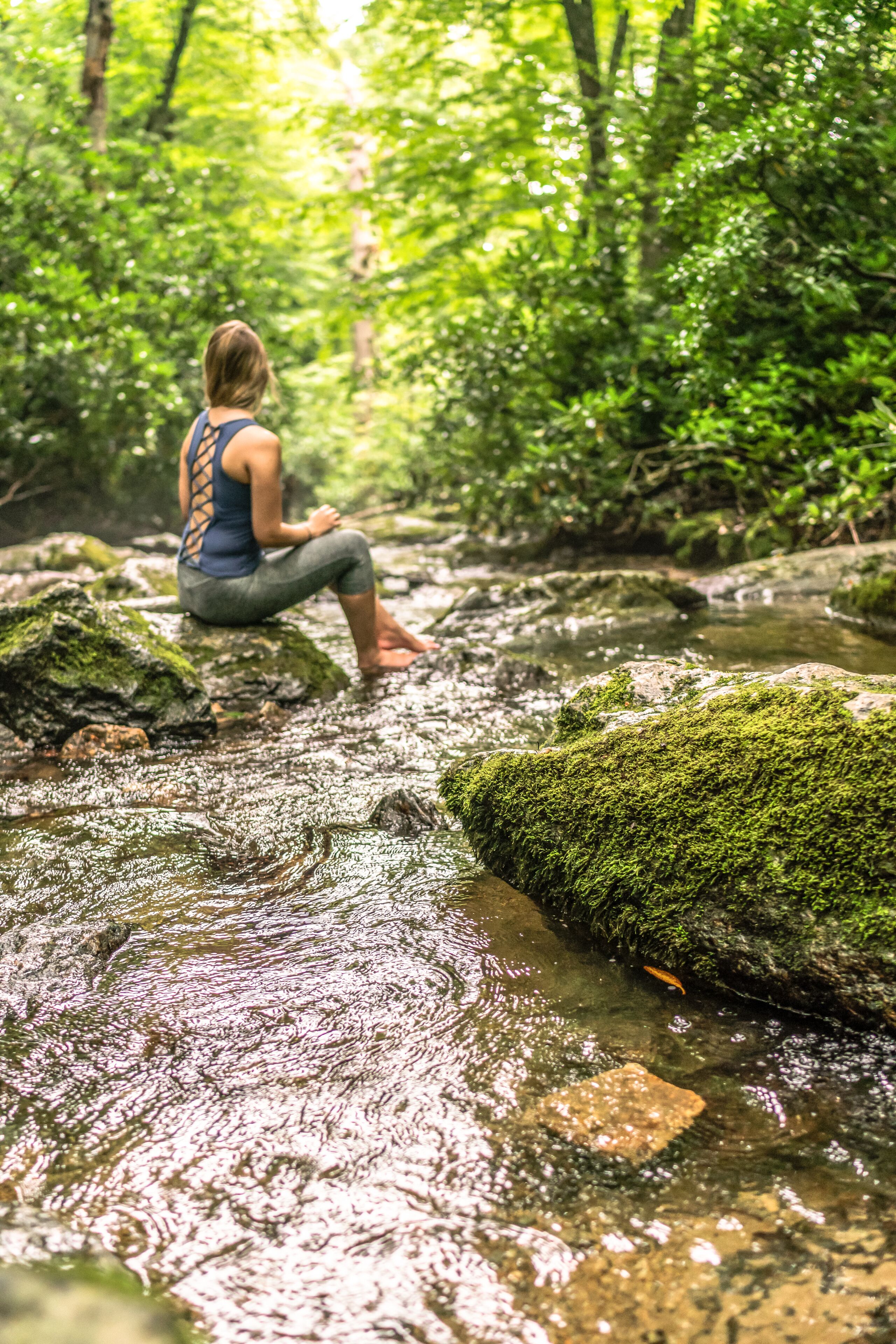 combined shower/bathtub, free toiletries, hair dryer, towels