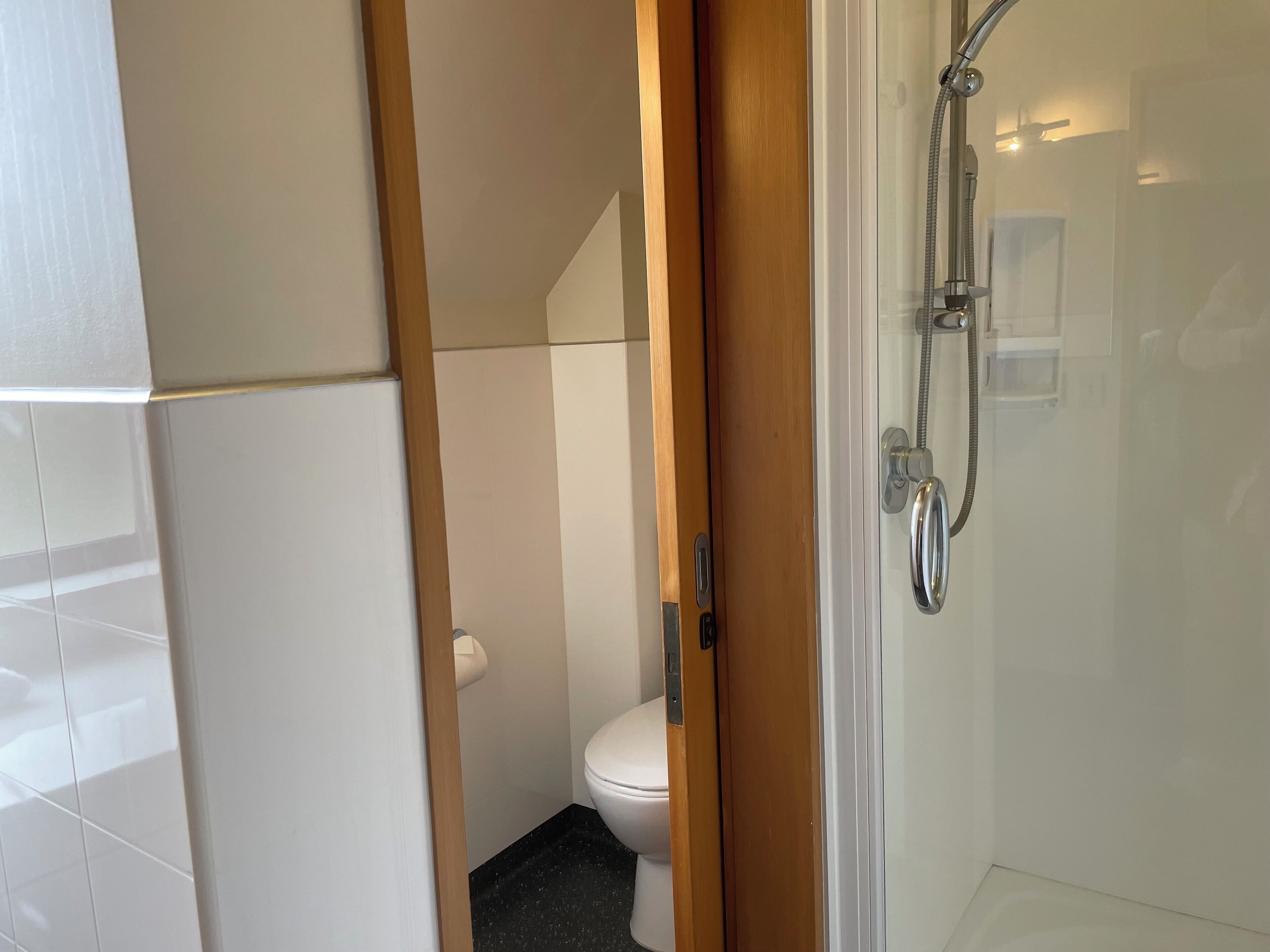 A bathroom with a glass shower enclosure, a toilet, and a wooden door.