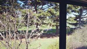 A view through a window of a golf course with trees and a grassy area.