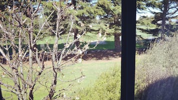公寓, 1 間臥室 (Upstairs) | 客房景觀