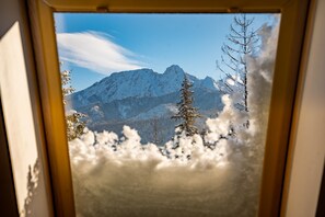 四人房 | 客房景观