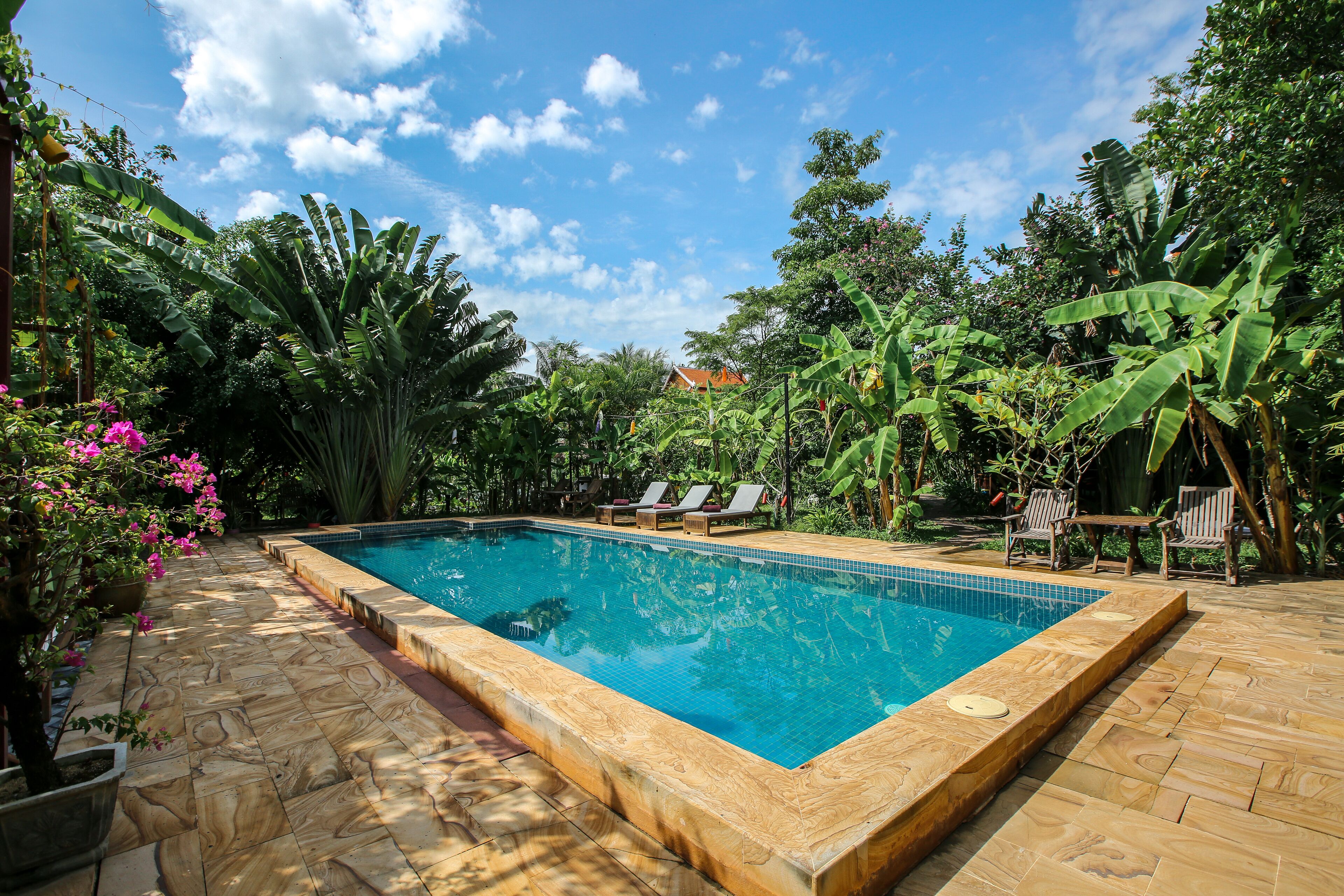 Outdoor pool, a natural pool, pool umbrellas, pool loungers