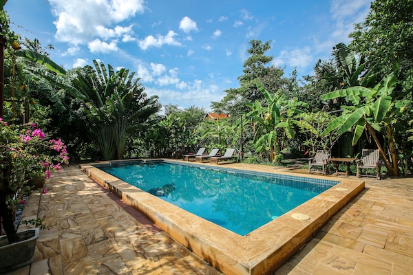 Outdoor pool, a natural pool, pool umbrellas, sun loungers