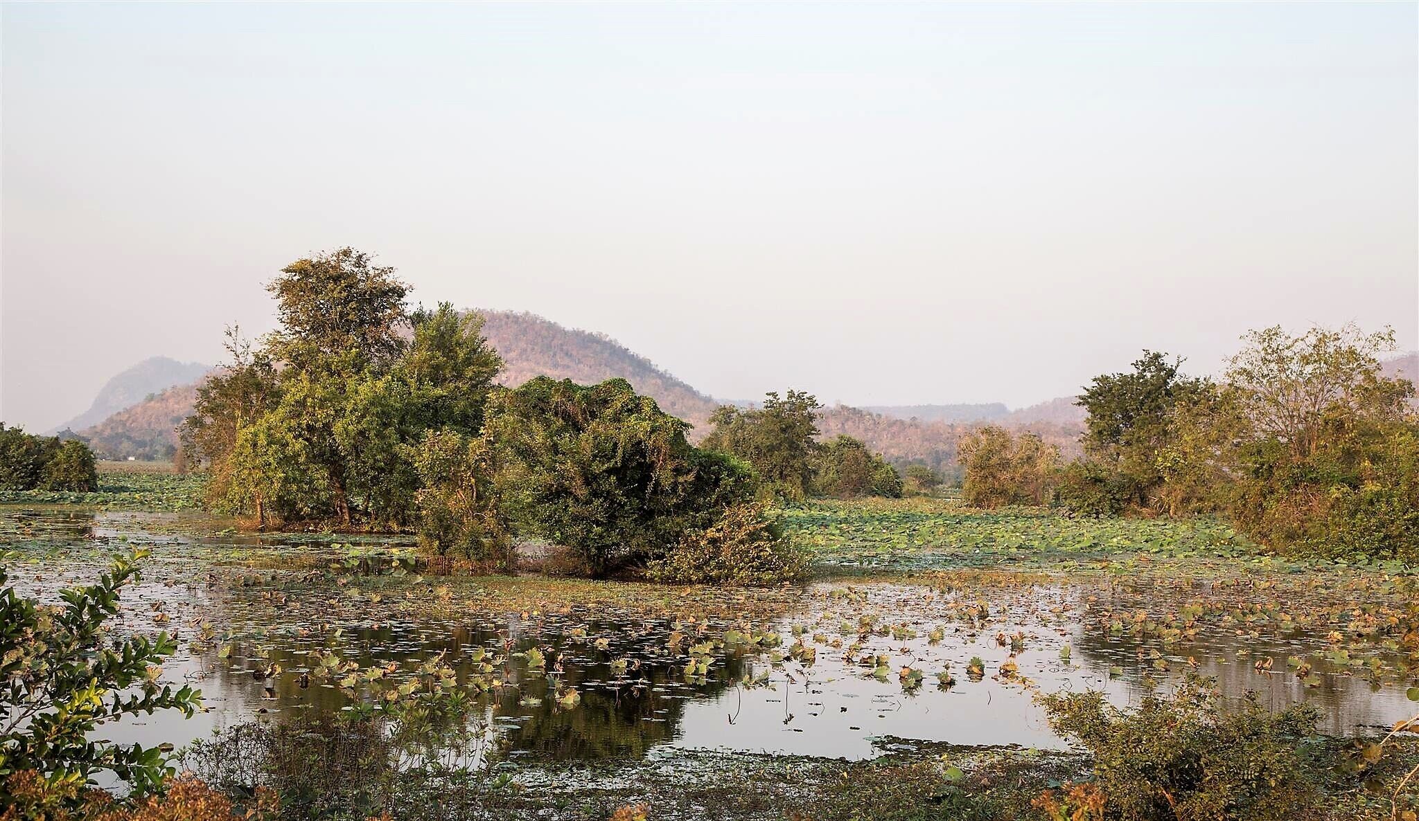 A natural landscape with a body of water, trees, and a hill in the background.