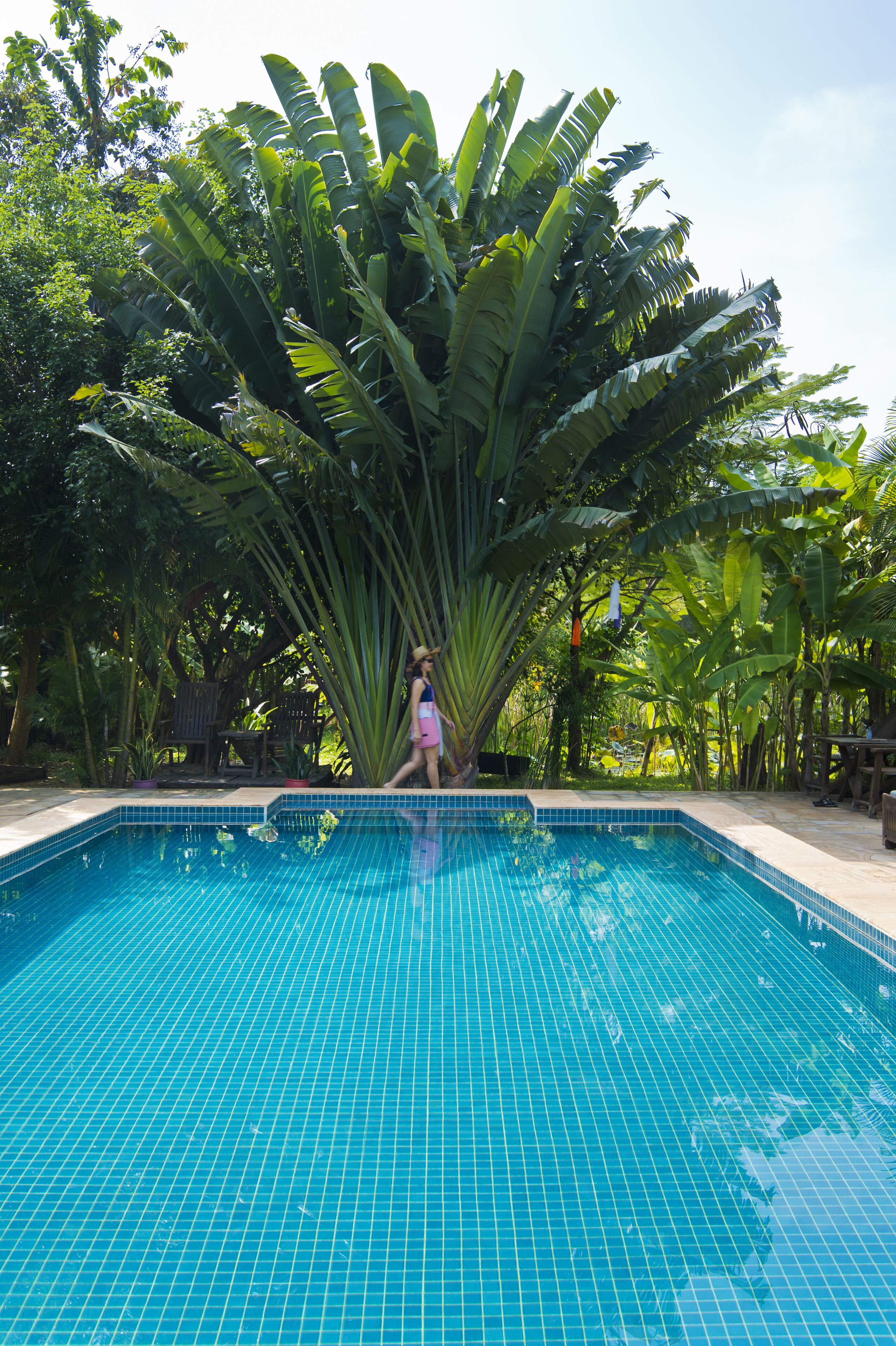 Hồ bơi ngoài trời, hồ bơi tự nhiên, dù/ô trên bãi biển/hồ bơi 