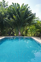 Una piscina al aire libre, una piscina natural, sombrillas