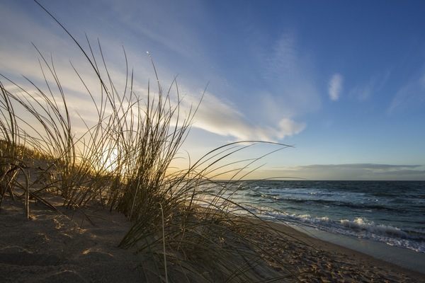 Beach nearby, beach towels, snorkeling, beach yoga