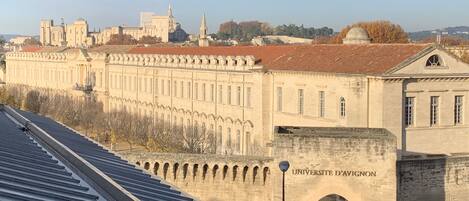 A large, historic building with a prominent archway labeled "UNIVERSITE D'AVIGNON" and a staircase leading up to it.