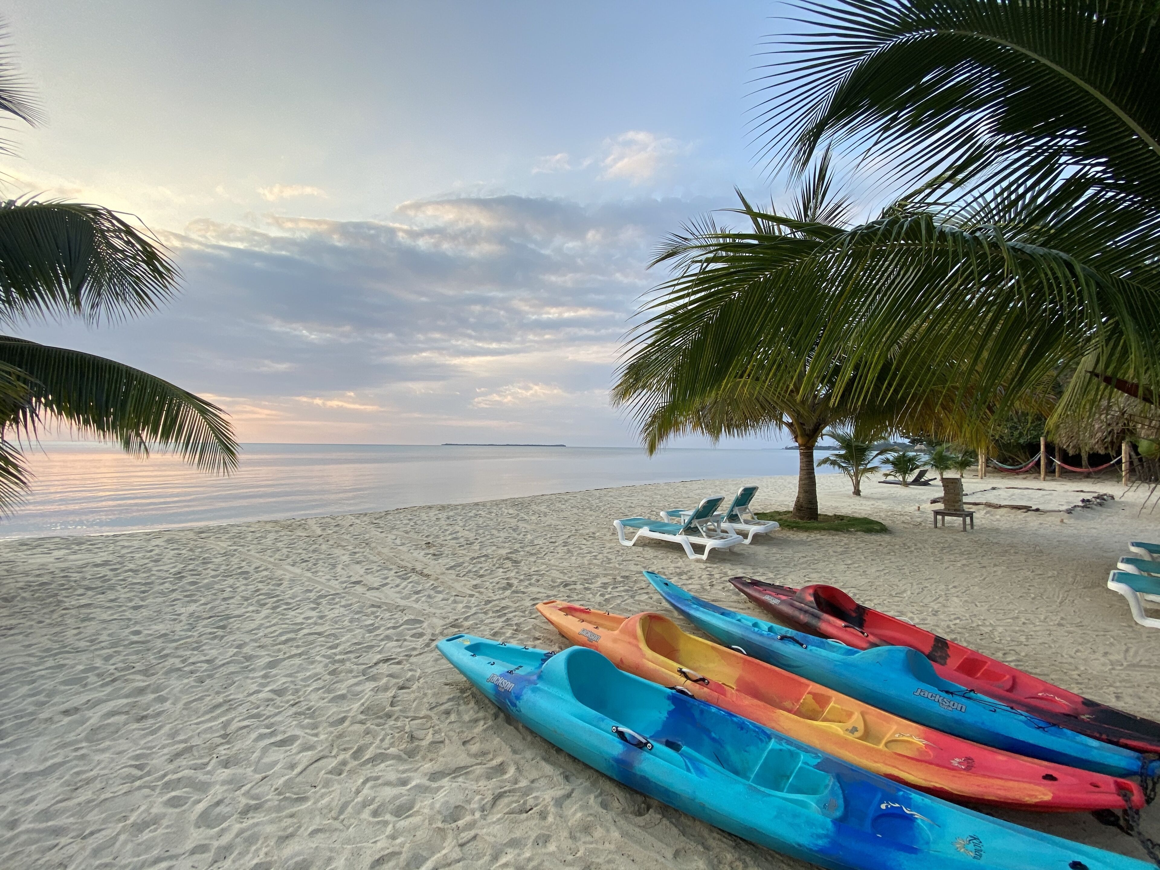A beach with kayaks, lounge chairs, and a palm tree.