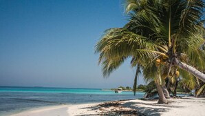 A beach with white sand, palm trees, and clear blue water. - Umaya Resort & Adventures (Placencia)