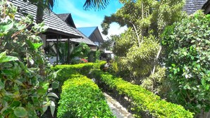Um caminho de jardim ladeado por vegetação exuberante e edifícios de estilo tradicional com telhados de palha.