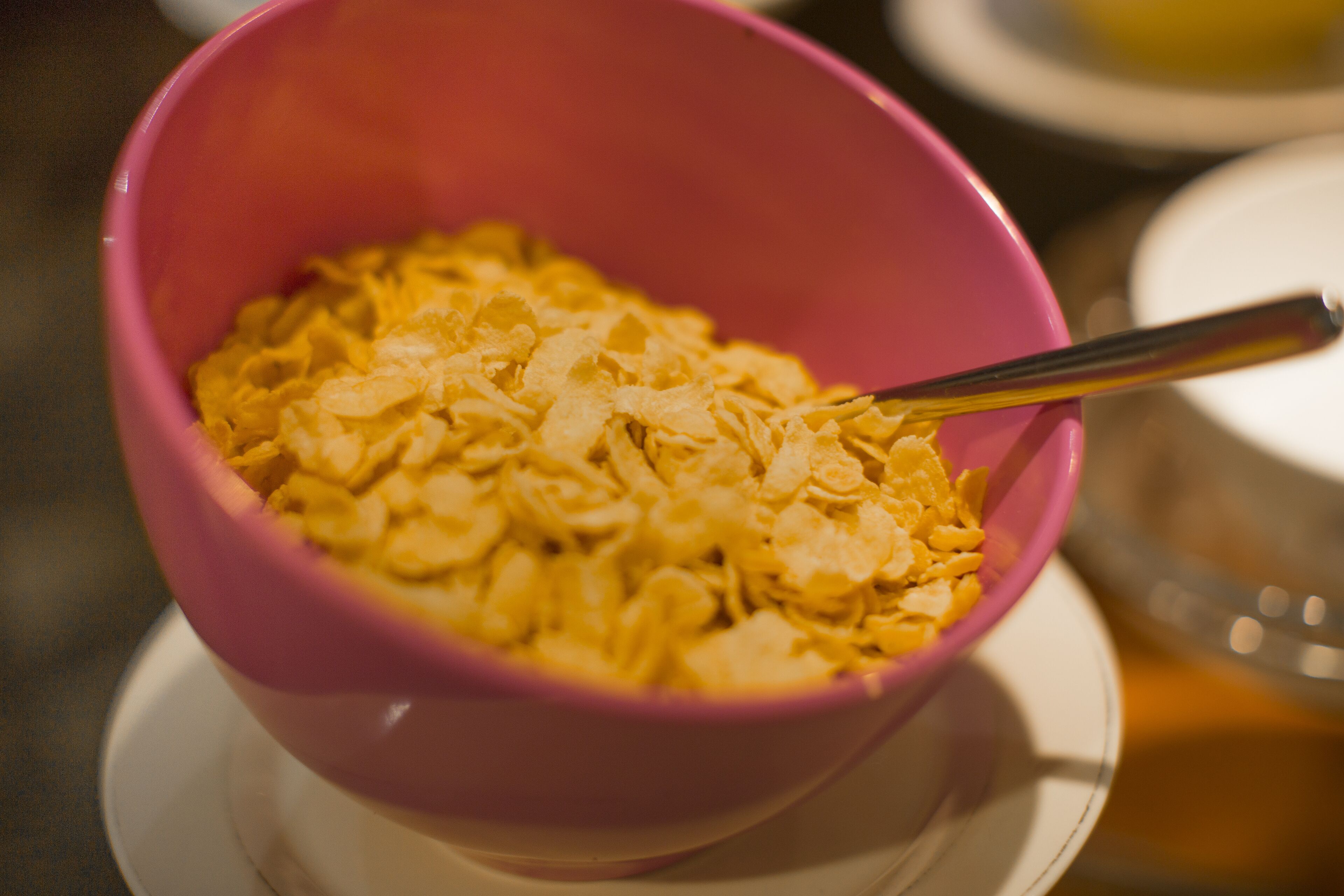 A pink bowl filled with cereal on a white plate.