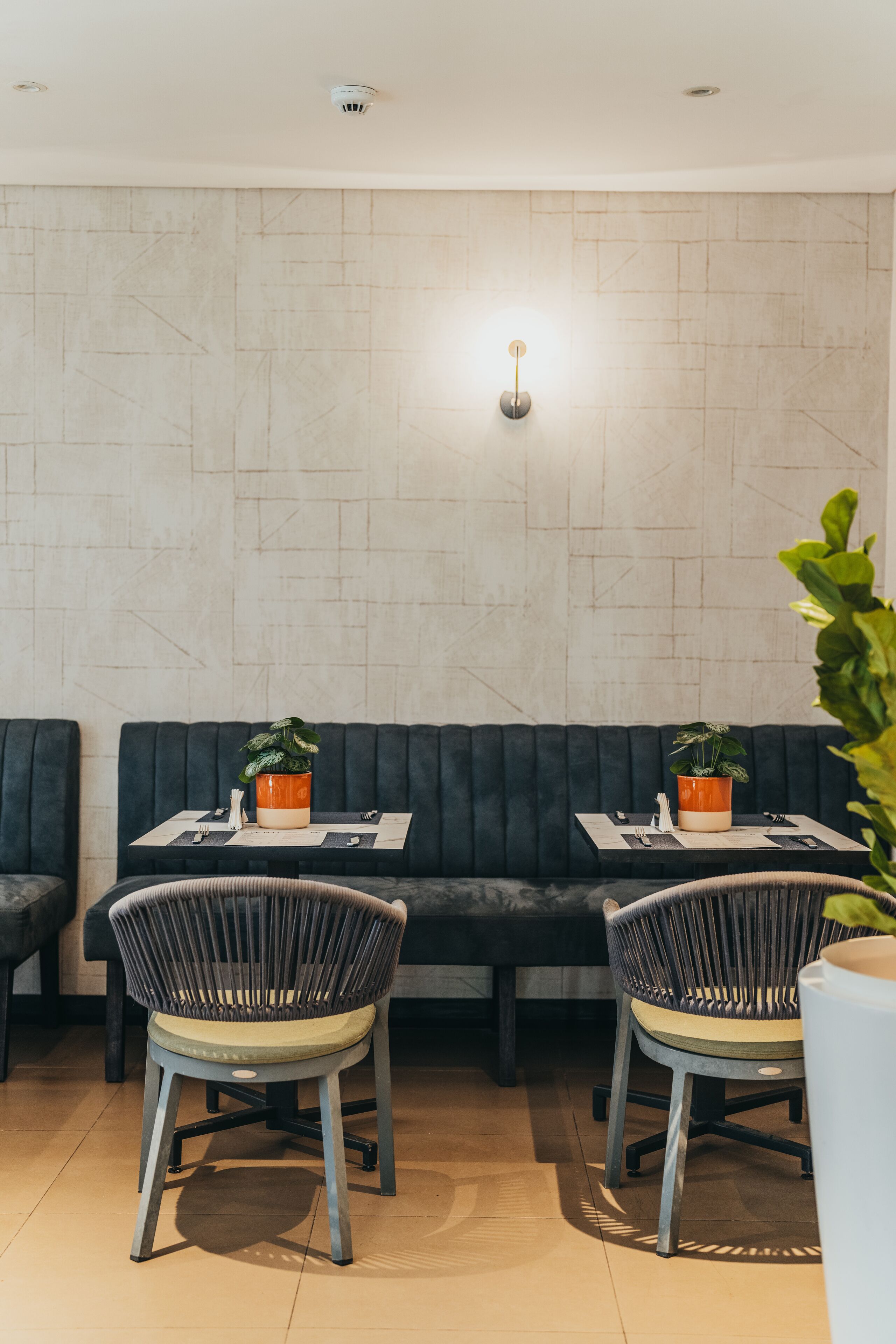 Un interior moderno con asientos tapizados color verde oscuro, dos sillones de mimbre, una planta en maceta y un aplique de pared.