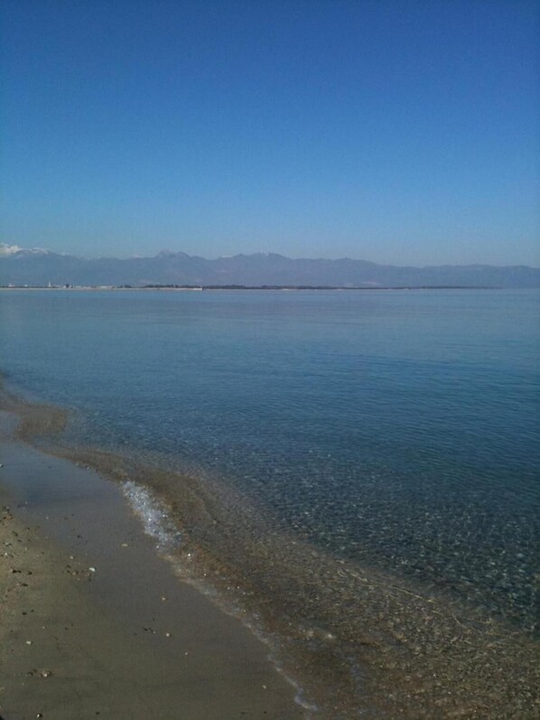 ใกล้ชายหาด