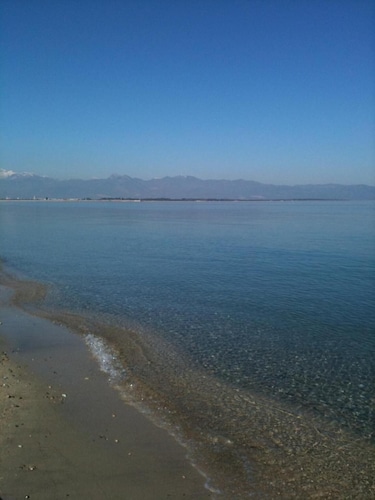 Il Falco e il Gabbiano B&B