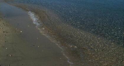 Il Falco e il Gabbiano B&B