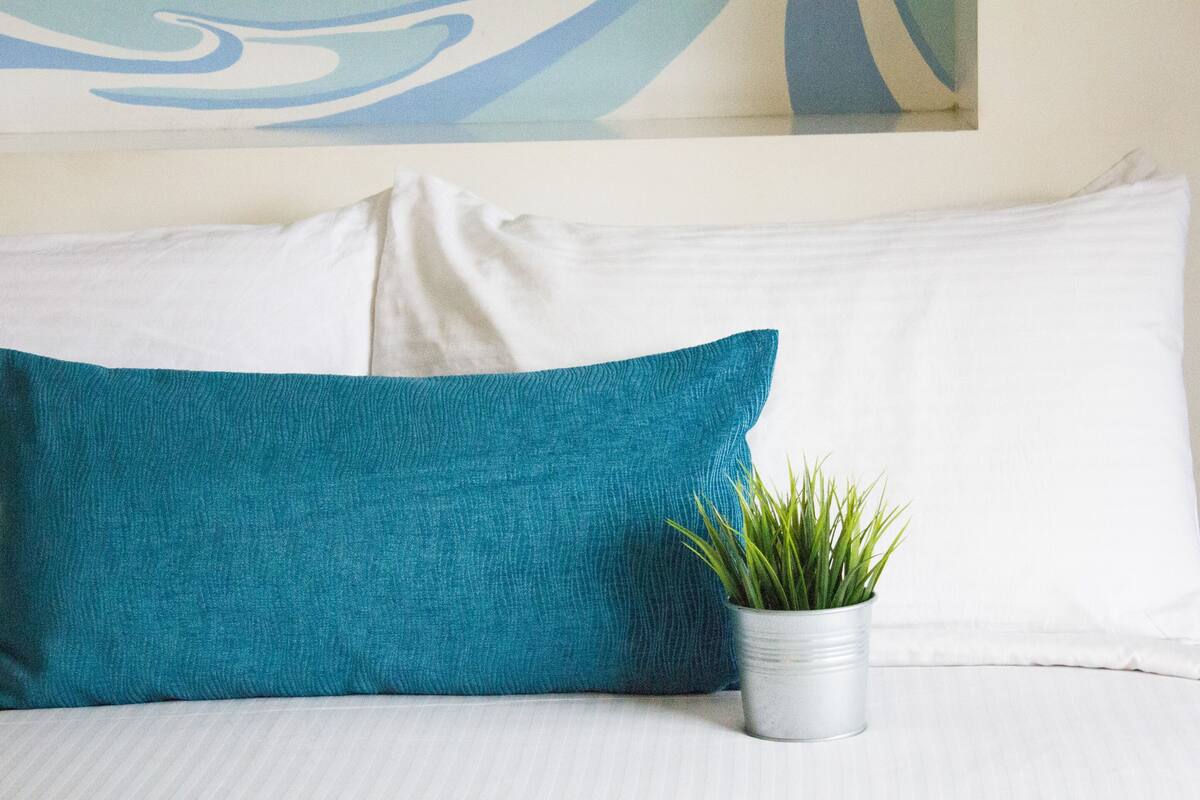 A bed with white bedding, a teal pillow, and a small potted plant.