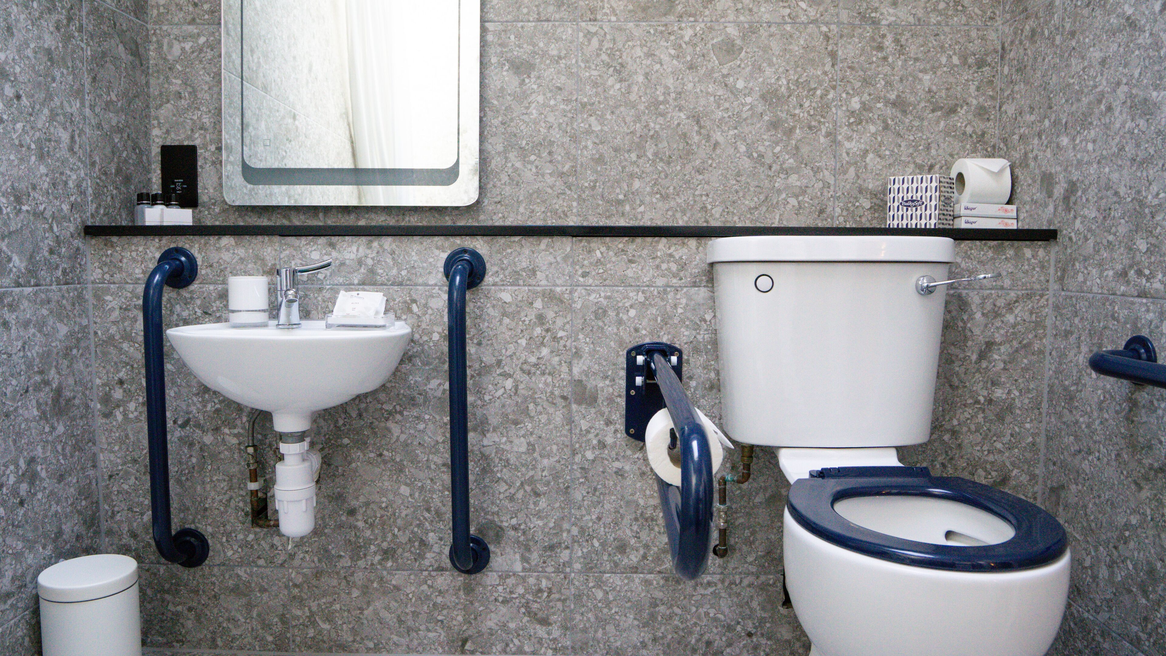 Une salle de bain équipée d’un lavabo, de toilettes et de barres d’appui.