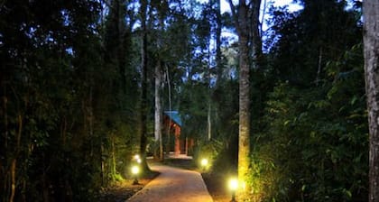 Yvy Hotel de Selva