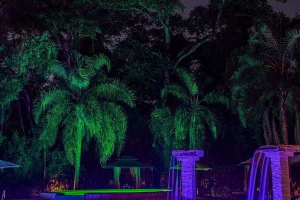 Alberca al aire libre, acceso de 10:00 a 19:00, y camastros