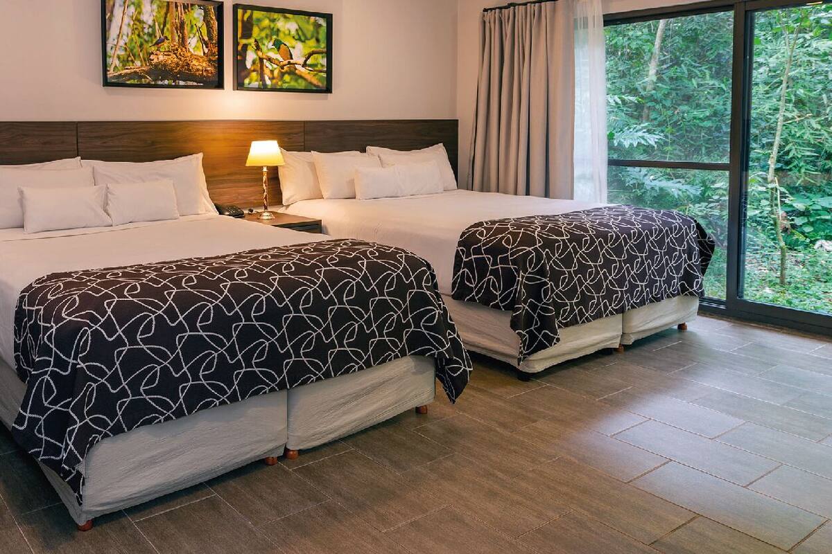 Habitación de hotel con dos camas, una mesita de noche, una lámpara y vista a zonas verdes por la ventana.