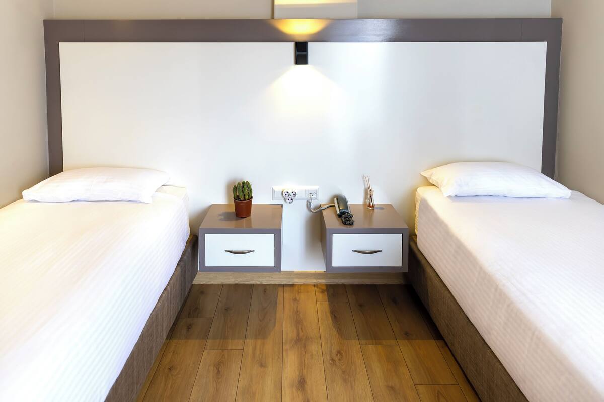 A hotel room with two single beds, a nightstand with a lamp, a small potted plant, and a wall socket.