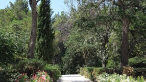 A pathway flanked by trees and flowering plants, leading through a park-like setting.