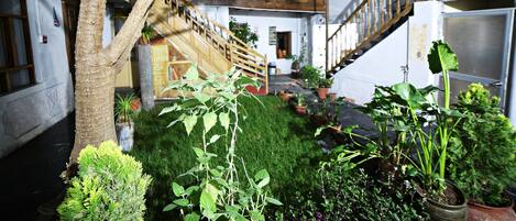 Vista desde la propiedad